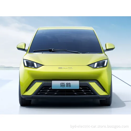 Byd Seagull EV Electric Cheap High Speed Long Range New Energy Battery EV Electrical Electric Car